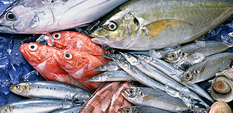 全国の各港から市場に魚があつまります。